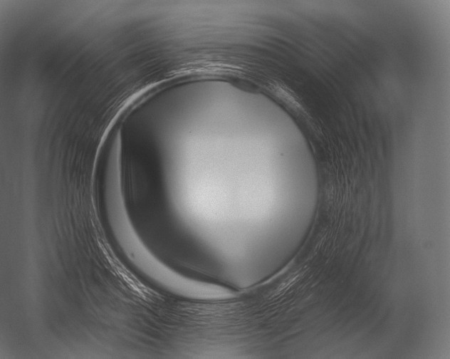X0000052950940200507300041