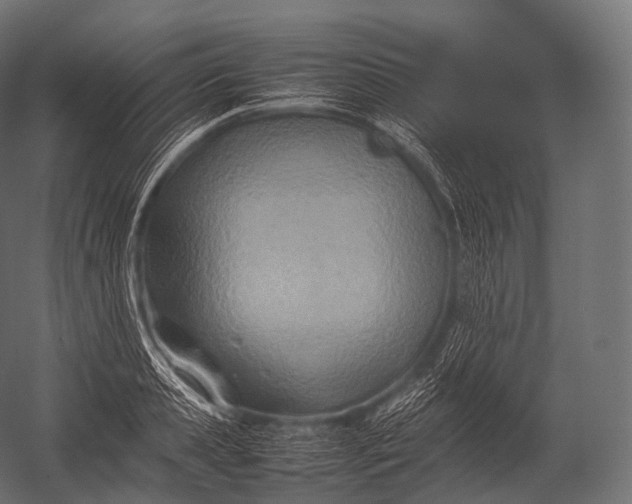 X0000052950941200507300041