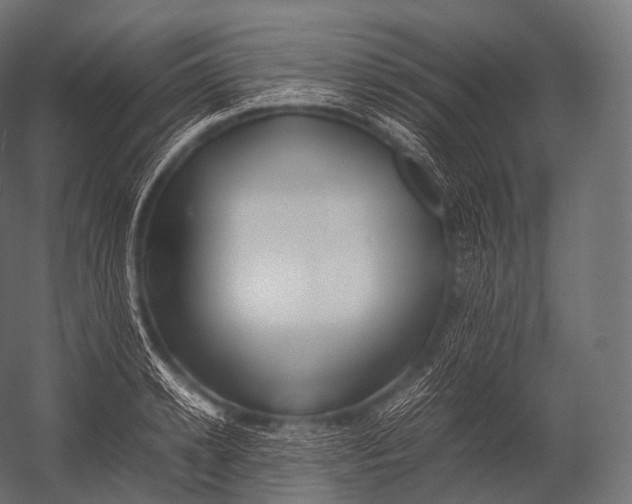 X0000052950942200507300041