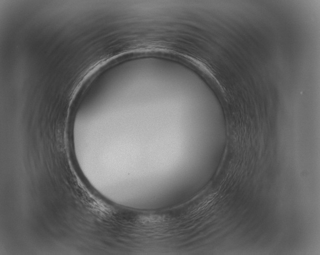 X0000052950943200507300041