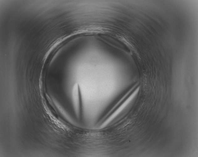 X0000052950944200507300041