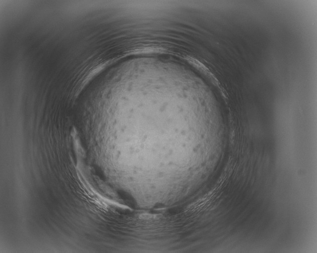 X0000052950945200507300041
