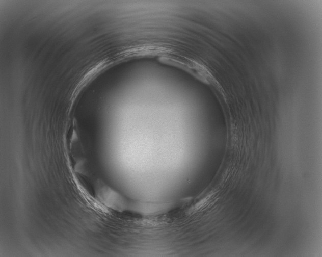 X0000052950946200507300041