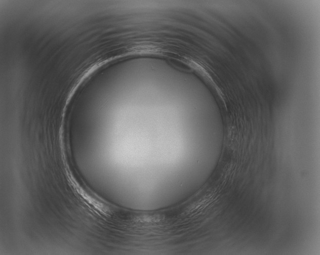 X0000052950947200507300041
