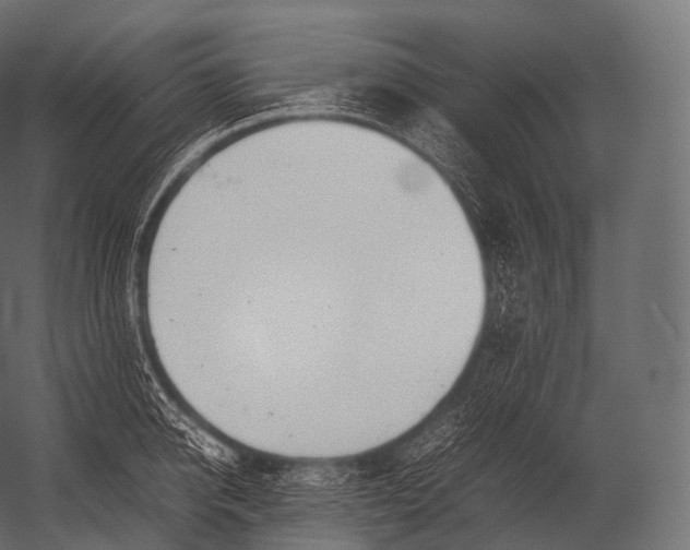 X0000052950950200507300041