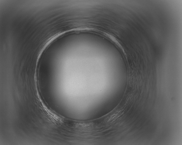 X0000052950951200507300042