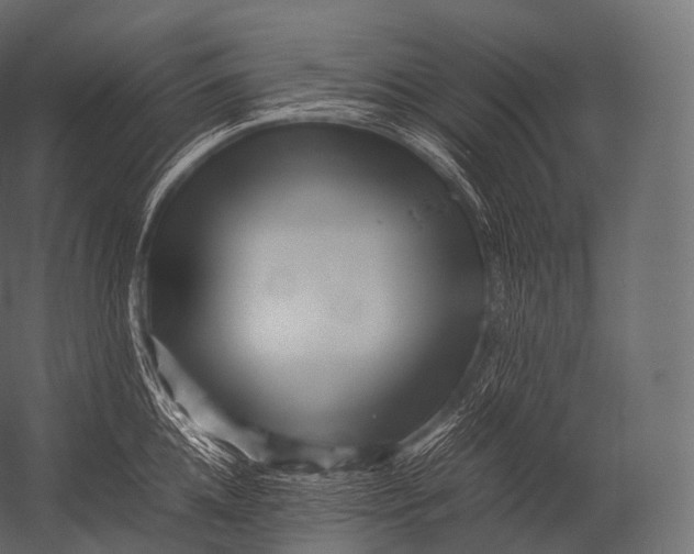 X0000052950952200507300042