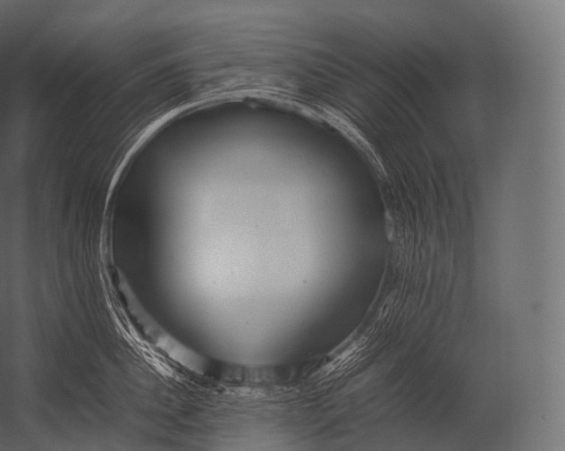 X0000052950956200507300042