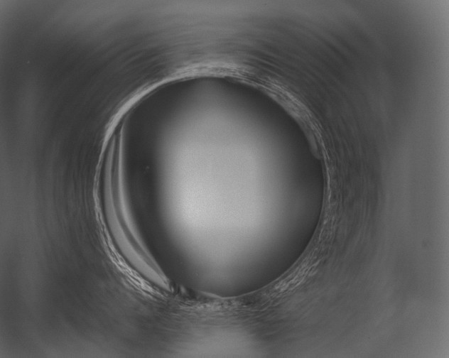 X0000052950960200507300042