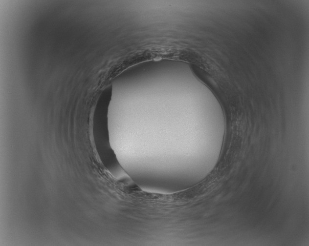 X0000052950961200507300041
