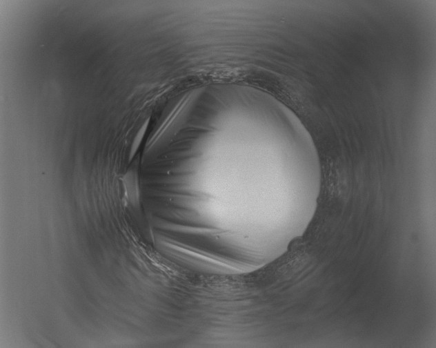 X0000052950962200507300041