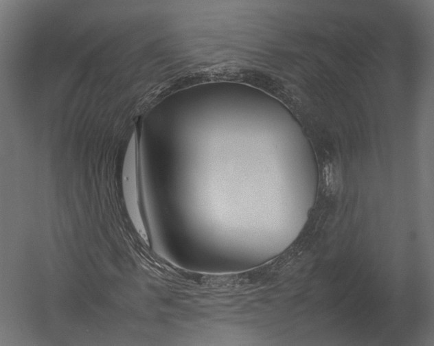 X0000052950963200507300041