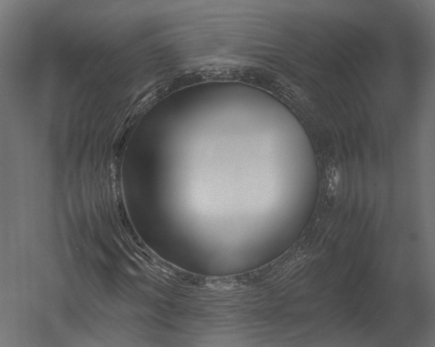 X0000052950964200507300041