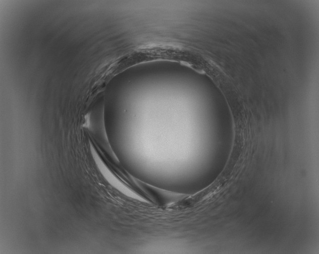 X0000052950965200507300041