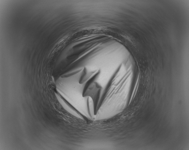 X0000052950967200507300041