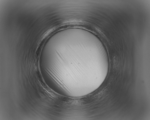 X0000052950970200507300041