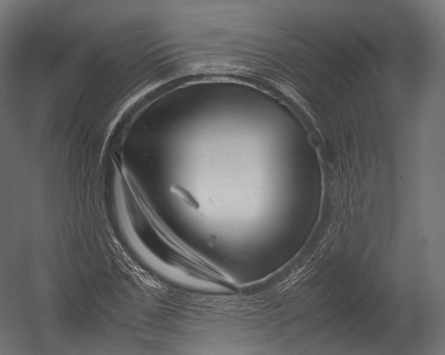 X0000052950971200507300041