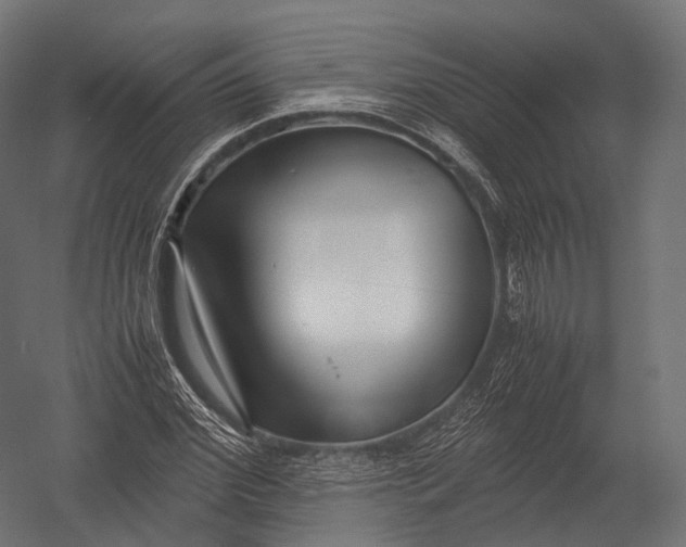 X0000052950972200507300041