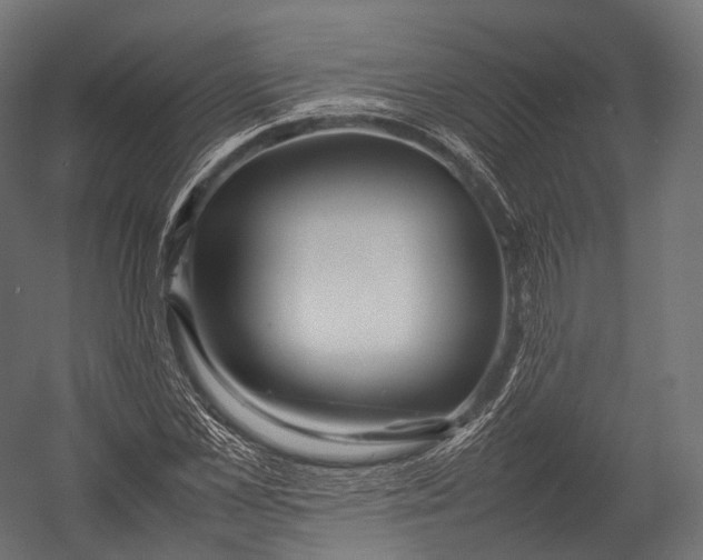 X0000052950973200507300041