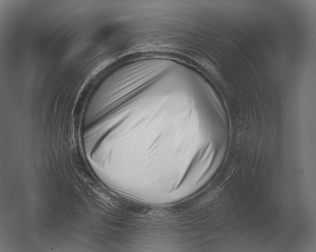 X0000052950974200507300041