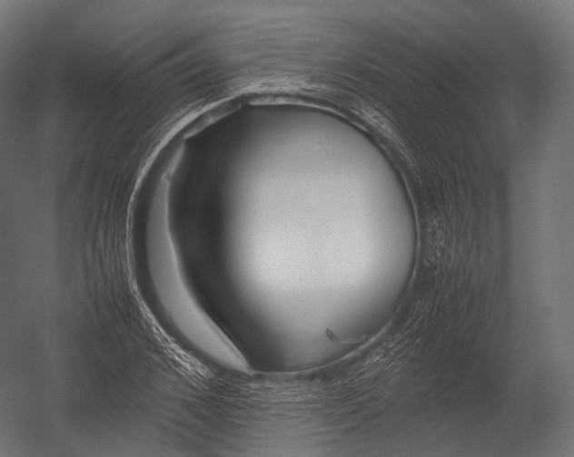 X0000052950976200507300041
