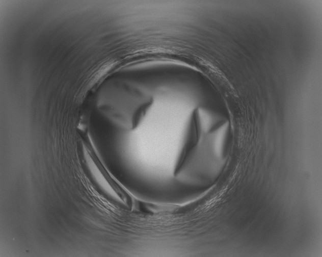 X0000052950977200507300041