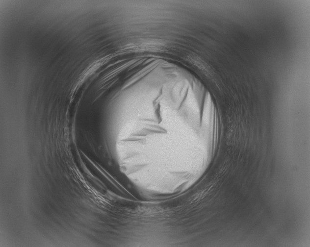 X0000052950978200507300041