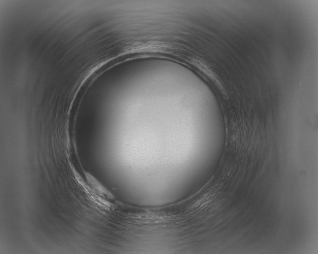 X0000052950980200507300041