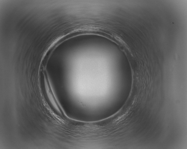 X0000052950981200507300041