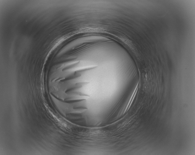 X0000052950982200507300040