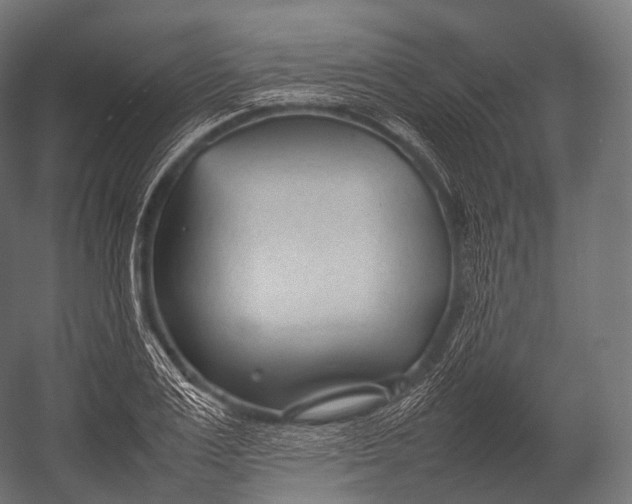 X0000052950983200507300040