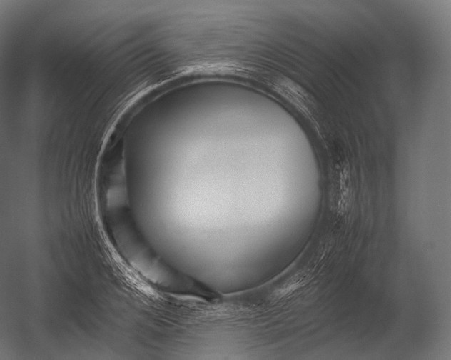 X0000052950984200507300040