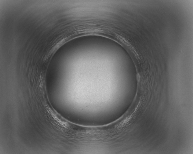 X0000052950985200507300040