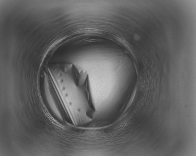 X0000052950987200507300040