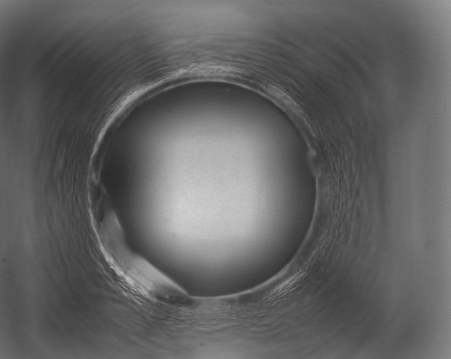 X0000052950989200507300040
