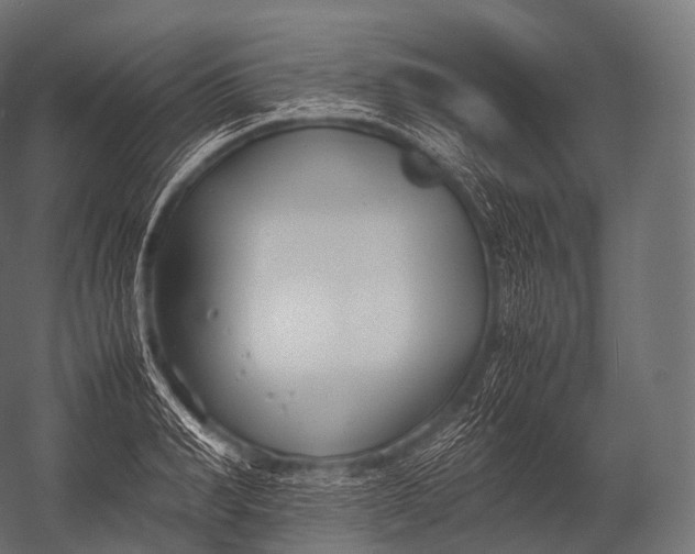 X0000052950990200507300040