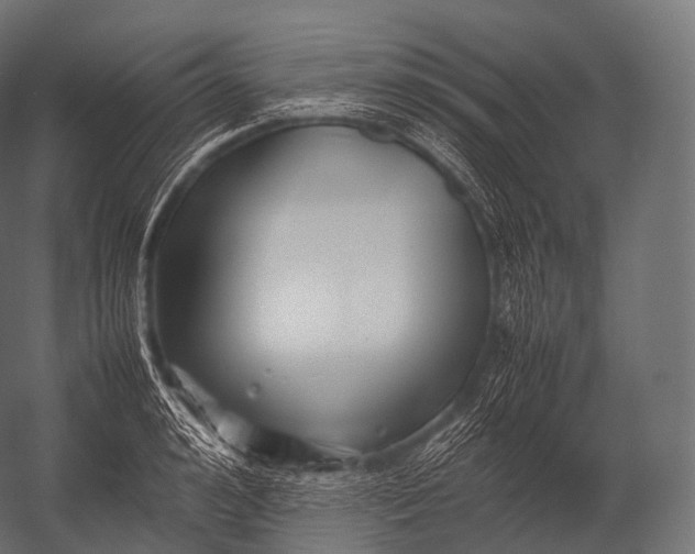 X0000052950992200507300040