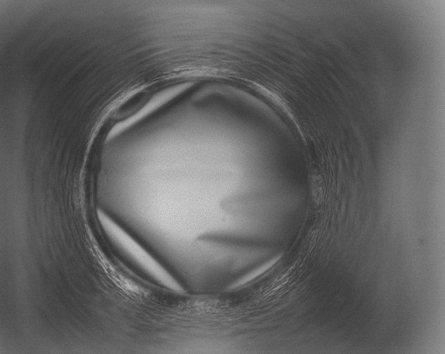 X0000052950995200507300040