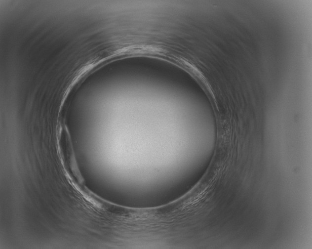 X0000052950997200507300040