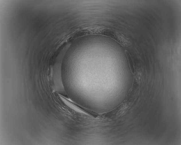 X0000052951010200507300039