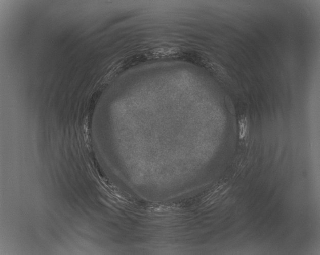 X0000052951011200507300039