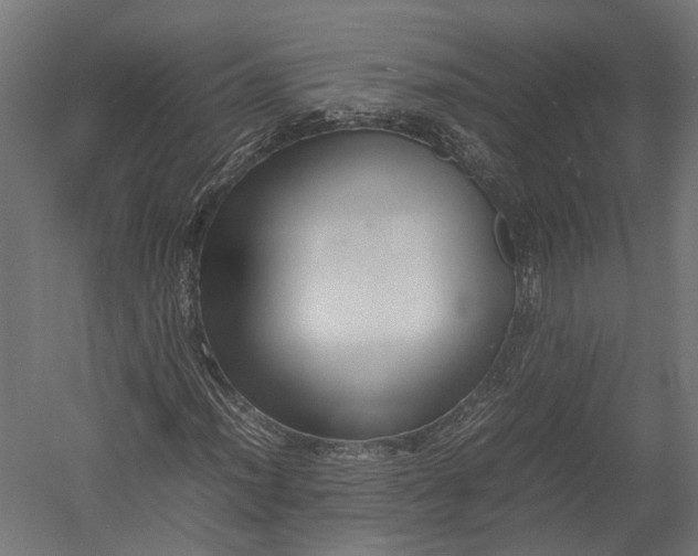 X0000052951012200507300039