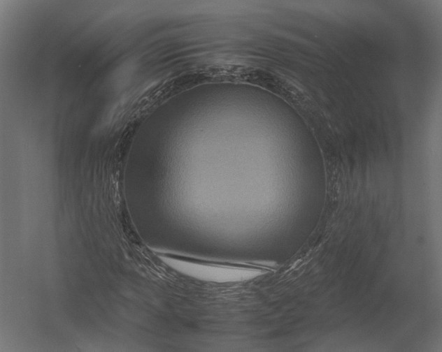 X0000052951013200507300039