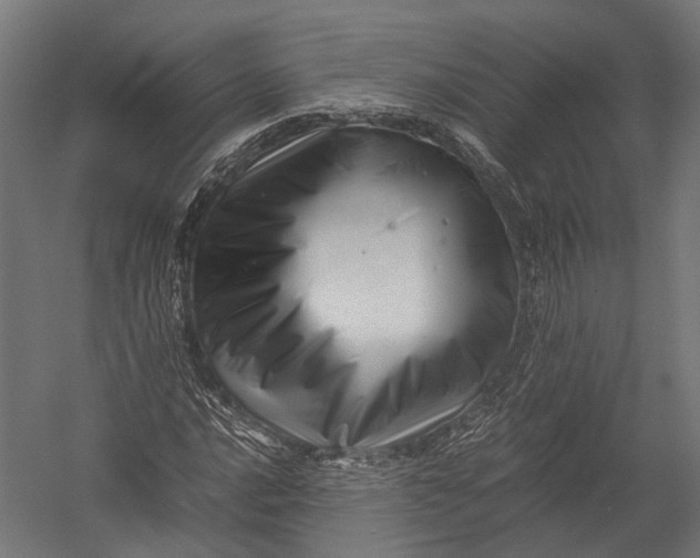 X0000052951016200507300039