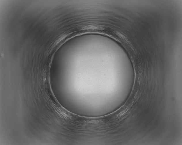 X0000052951017200507300039