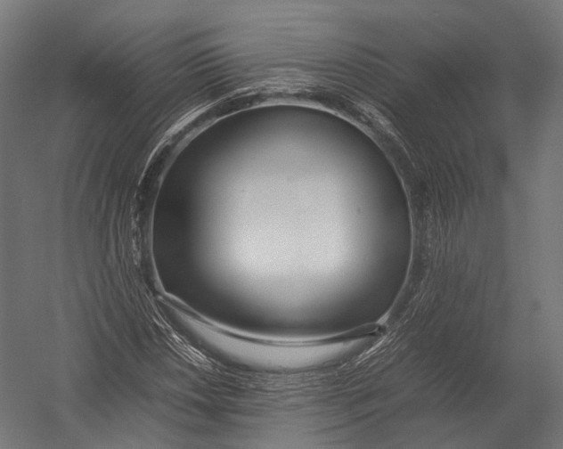 X0000052951018200507300039
