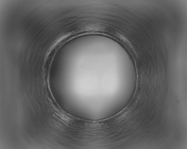 X0000052951019200507300039