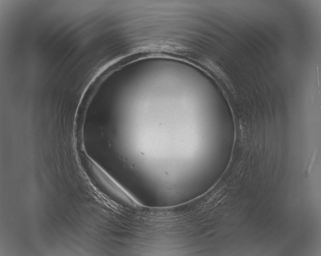 X0000052951020200507300039