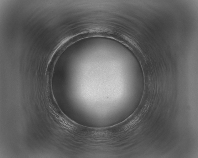 X0000052951021200507300039