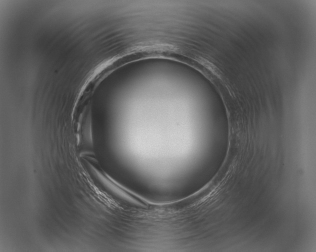 X0000052951022200507300039